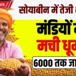 सोयाबीन में जोरदार तेजी शुरू! मंडियों में मची धूम, क्या 6000 रुपये तक जाएगा भाव? Soyabean Bazar Bhav
