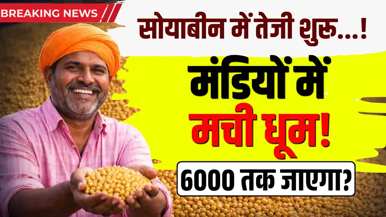 Soyabean Bazar Bhav