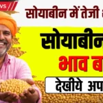 सोयाबीन के भाव बढ़े: किसानों को राहत Soyabean Price Rise