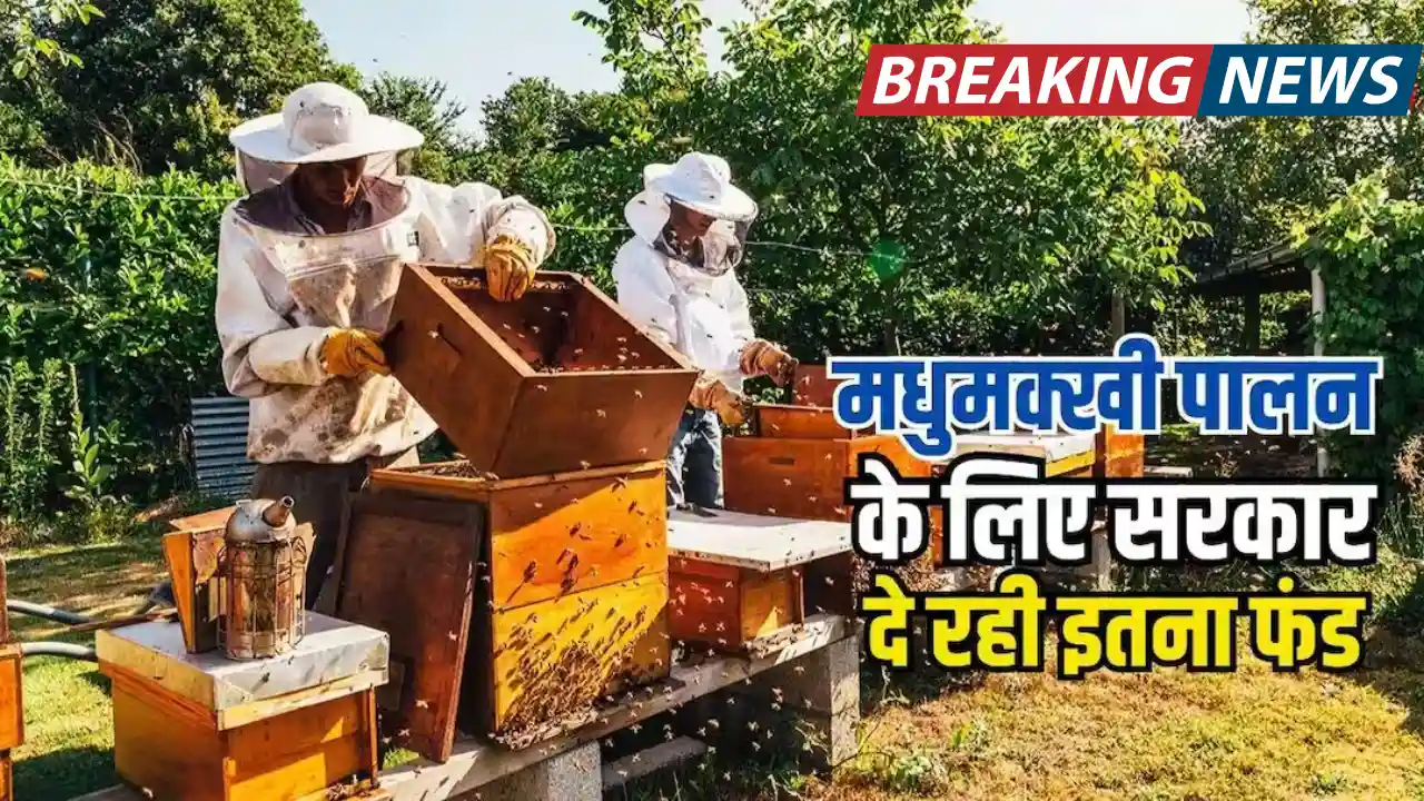 Beekeeping Business
